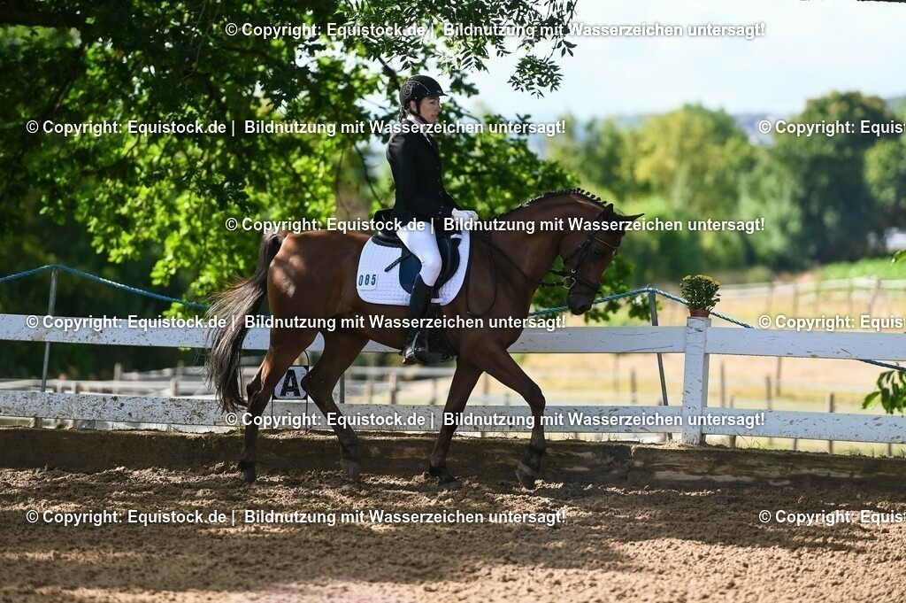 20230716_04_Dressurreiterprüfung Kl.A_0172 | equistock