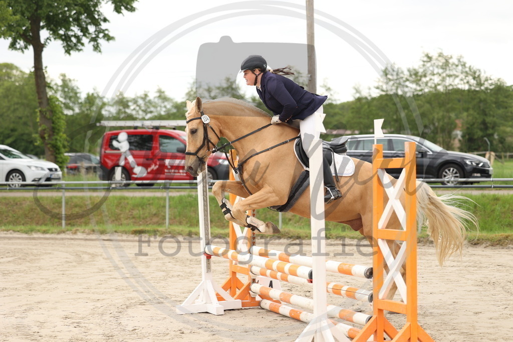 994A8805 | sabrinanicolaifotografie - Realisiert mit Pictrs.com