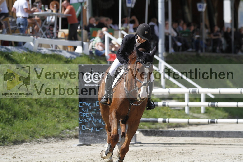 _MG_0504 | equestrian-live-com