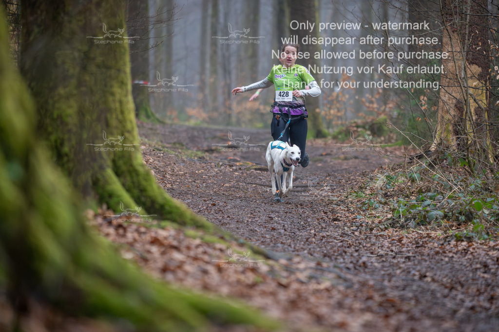 Canix_So-61 | stephaniefillaphotographie - Realisiert mit Pictrs.com