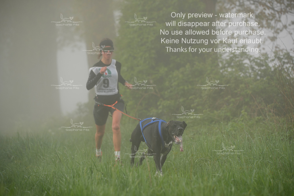 SA_GL2-51 | stephaniefillaphotographie - Realisiert mit Pictrs.com