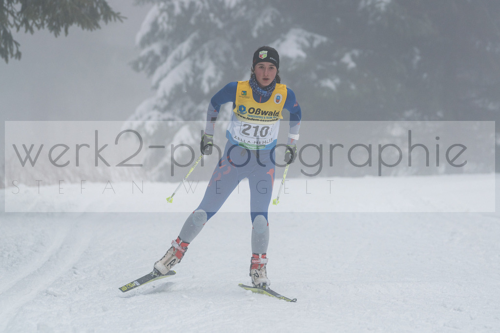 Otto-Wahl-Lauf Oberhof | Otto-Wahl-Lauf in Oberhof am 29. Februar 2020