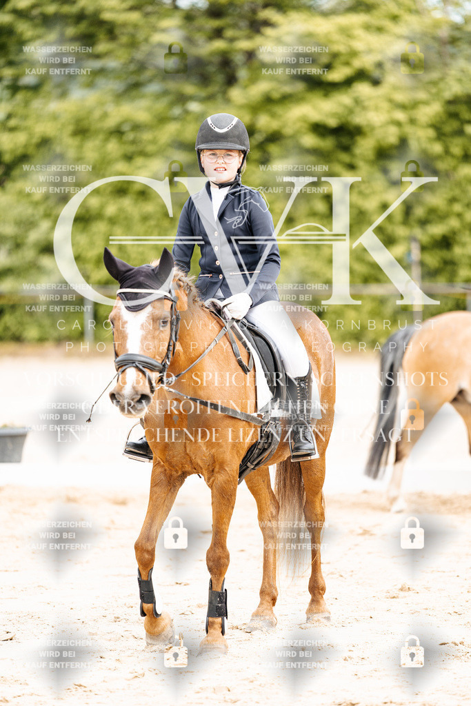 CK904708 | Turnierfotografie Pferdefotografie Trier Rheinland-Pfalz Pferdesport Reitsport Tierfotografie Sportfotografie Pferdevideo Pferdevideografie Equestrianvideography equestrianphotography  - Realisiert mit Pictrs.com