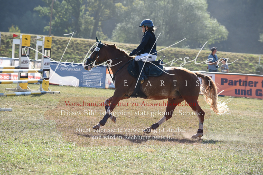 DSC_5993 | Pferde- und Turnierfotografie in Westsachsen. Pferdeportraits, Auftragszeichnungen und intuitive Kunst.
