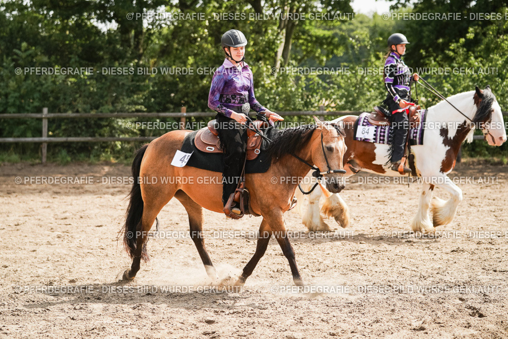 DSC05120 | Pferdegrafie