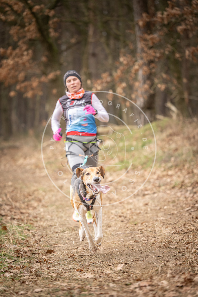 Pfotenfotografie_DV3A4982 | Hundefotografie, Tierfotograf, Pfotenfotografie, Fotoshooting Hund, Hunde Portrait, Hundesport, Hundeportraits, Heideshooting, Hunde, Sportfotograf, Hundefotograf, Turnierhundsport, THS,  - Realisiert mit Pictrs.com