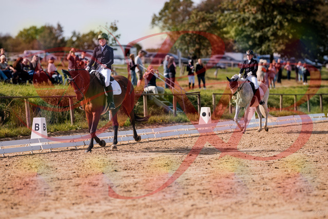 2026_10_03_Siefer-Hof_123006_Z81_28765017 | Professionelle Reitsport-, Turnier- und Eventfotografie von Robert Broda. Galerien mit ausgewählten und bearbeiteten Bildern direkt online ansehen und bestellen.