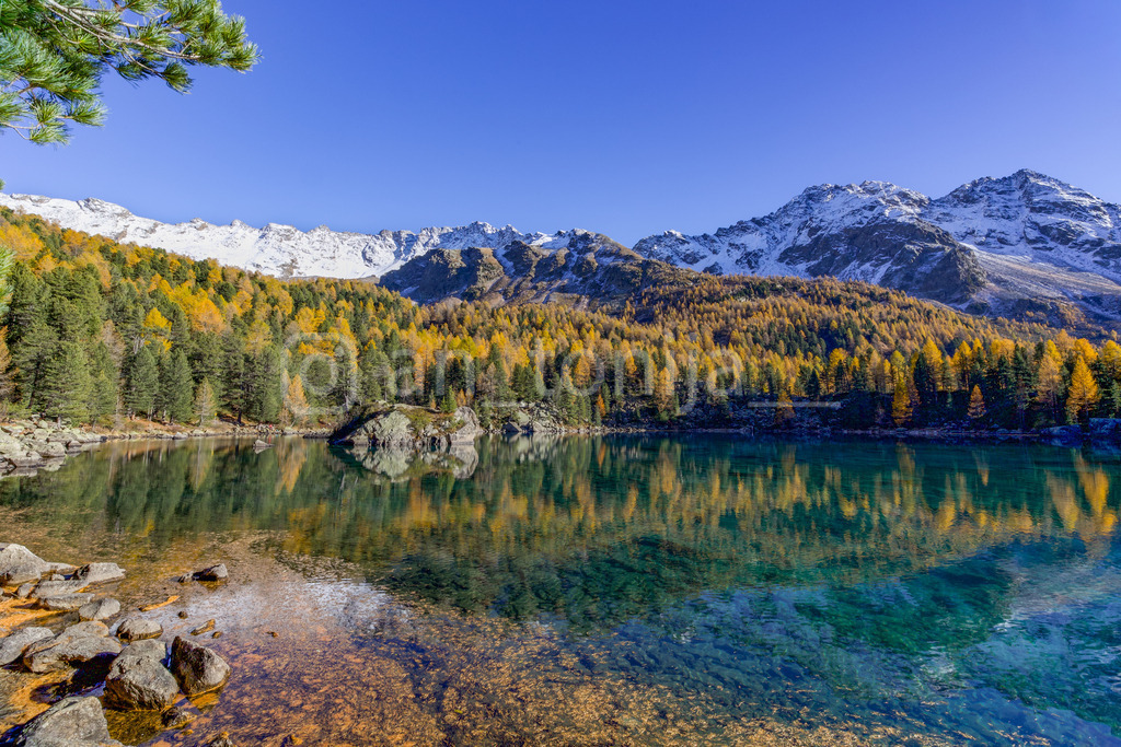 JB3A5188-5 | antonija-trupina - Realisiert mit Pictrs.com