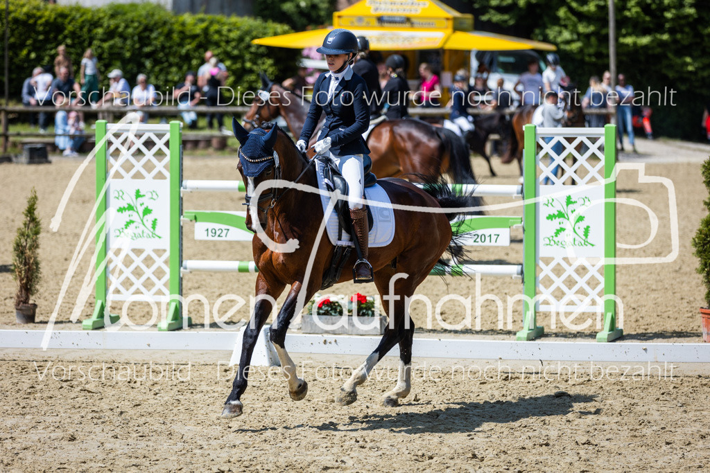 Donop24-L-Dre-098 | MomenTaufnahmen Pferdesportfotos