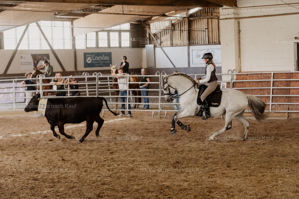 WM_COW_83_SinaFilmArt_IN04617 | working equitationturnier fotograf videograf stoibphotography marixx film working equitation deutschland reitsport turnierfotografie eventfotografie equestrian events