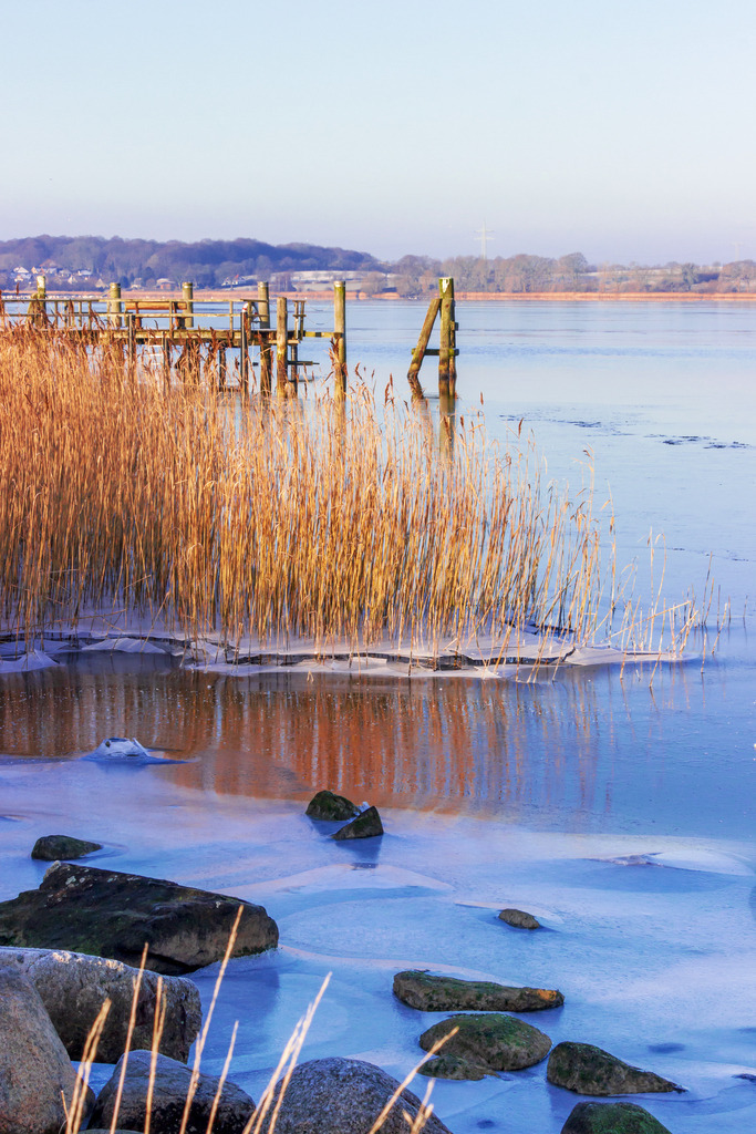 Wandbild: Malerischer Wintertag in Sieseby an der Schlei | Dieses Wandbild im Hochformat zeigt einen malerischen Wintertag in Sieseby an der Schlei. Der Uferbereich ist leicht vereist. Dahinter befindet sich rötlicher Schilf. In der Ferne kann man einen Teil des Stegs erkennen. Der blaue Himmel ist fast wolkenlos.  - Realisiert mit Pictrs.com