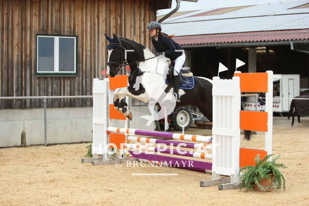 DL2Q1329 | Willkommen bei Brunnmayr - Design & Fotografie – Ihrem Spezialisten für Reitturniere und Pferdeveranstaltungen in Oberösterreich, Salzburg und Bayern! Seit über 17 Jahren sind wir leidenschaftlich dabei.