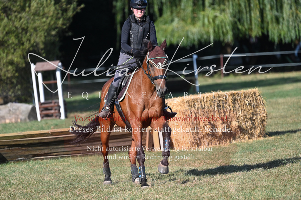 DSC_8979 | Pferde- und Turnierfotografie in Westsachsen. Pferdeportraits, Auftragszeichnungen und intuitive Kunst.