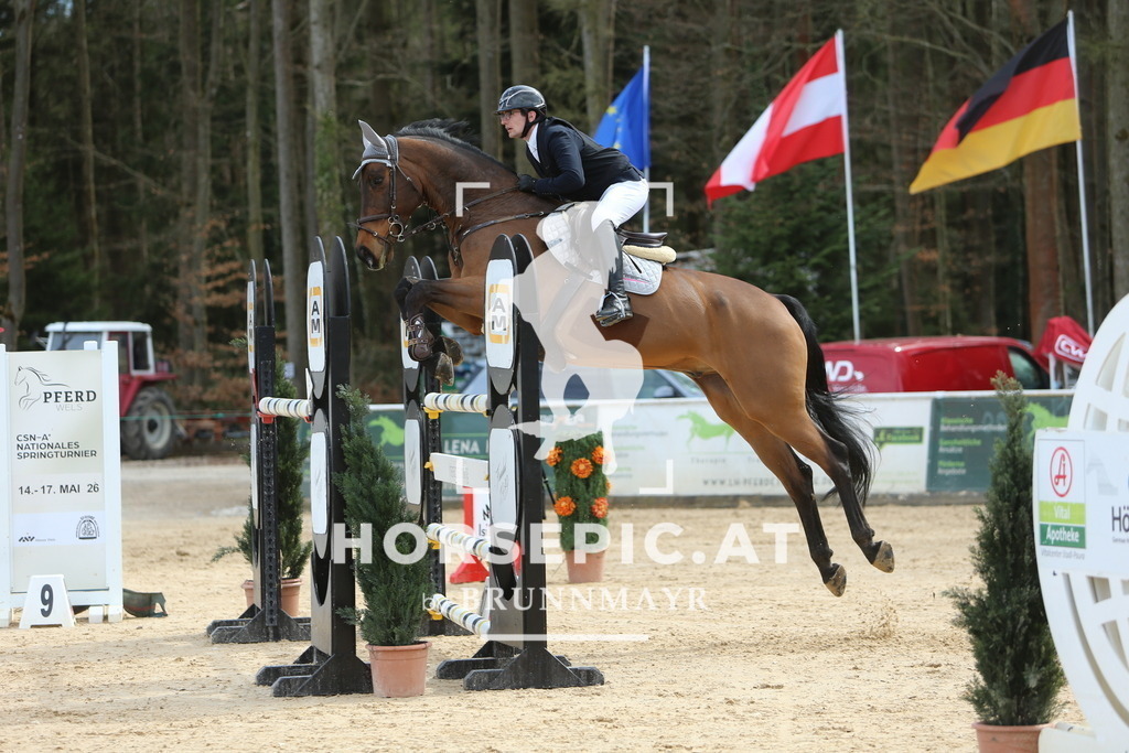 DL2Q6358 | Willkommen bei Brunnmayr - Design & Fotografie – Ihrem Spezialisten für Reitturniere und Pferdeveranstaltungen in Oberösterreich, Salzburg und Bayern! Seit über 17 Jahren sind wir leidenschaftlich dabei.