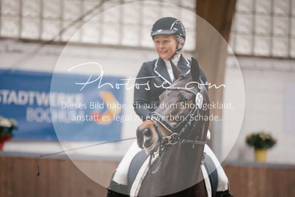 3I6A6543 | Stimmungsvolle Portraits und Reitsportfotografie im Ruhrgebiet und im Münsterland.

Pferdefotografie, Hundefotografie, Tierfotografie, Reportagen, Portraits von Tier und Mensch, Turnierfotografie in Bochum, Recklinghausen, Marl, Haltern am See, Dülmen.. - Realisiert mit Pictrs.com