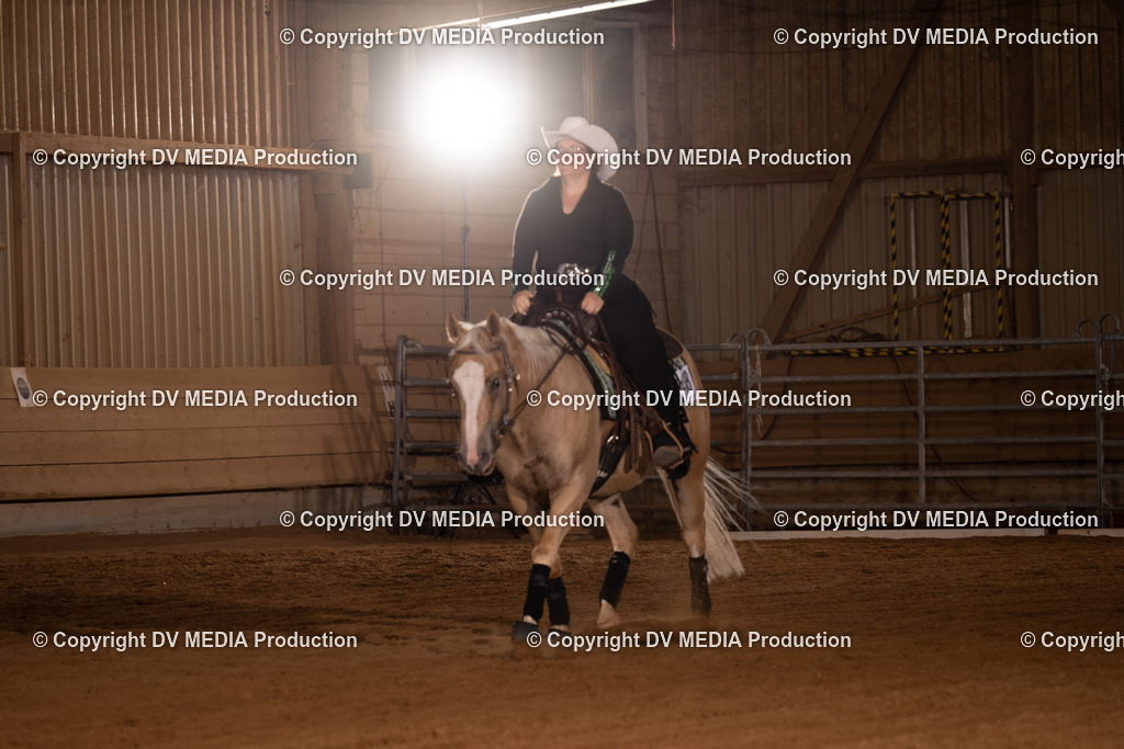 NID01087 | dv-media-shop - Realisiert mit Pictrs.com