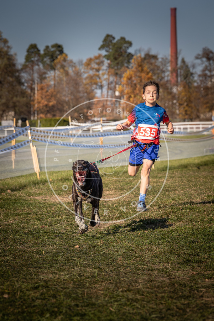 CaniXpix_0L8A7423 | Hundefotografie, Tierfotograf, Pfotenfotografie, Fotoshooting Hund, Hunde Portrait, Hundesport, Hundeportraits, Heideshooting, Hunde, Sportfotograf, Hundefotograf, Turnierhundsport, THS,  - Realisiert mit Pictrs.com