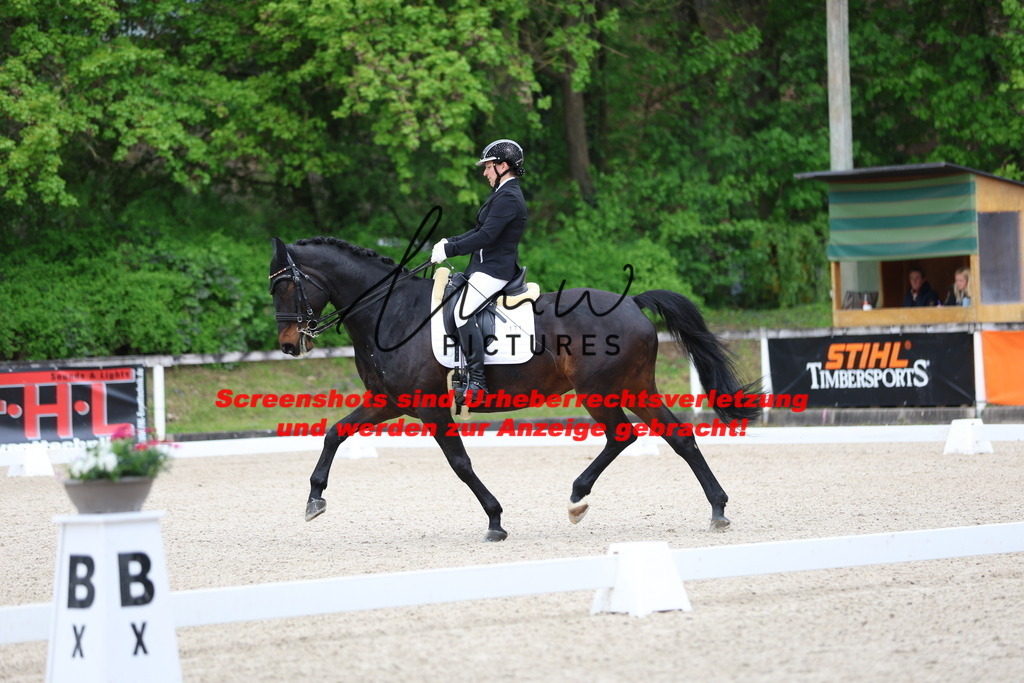 A40A4276 | lmwpictures - Realisiert mit Pictrs.com