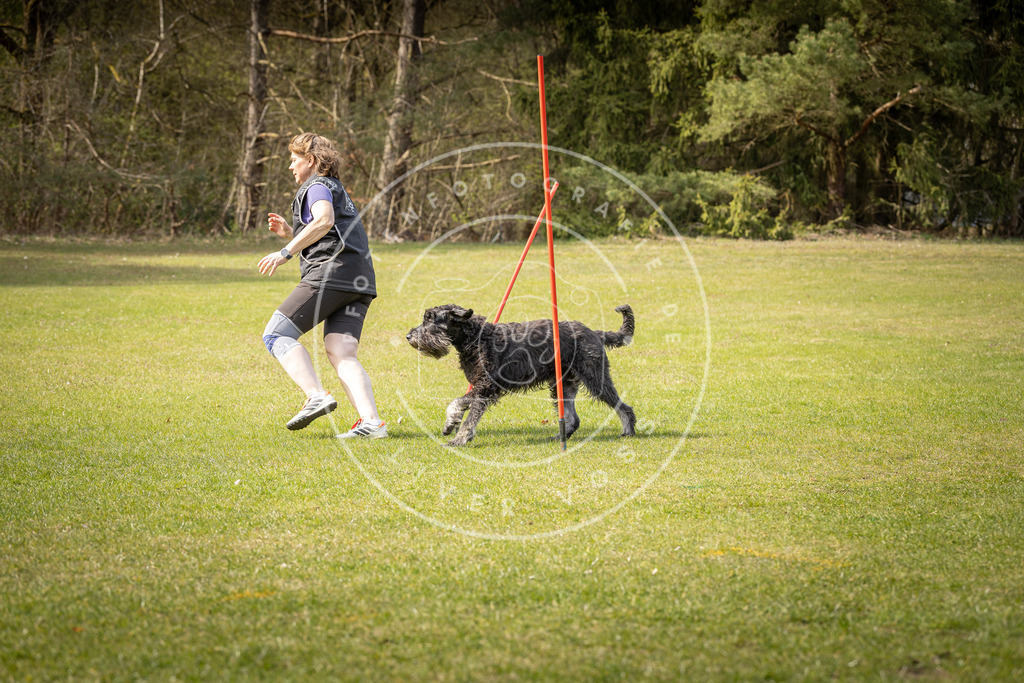 Pfotenfotografie_DV3A9674 | Hundefotografie, Tierfotograf, Pfotenfotografie, Fotoshooting Hund, Hunde Portrait, Hundesport, Hundeportraits, Heideshooting, Hunde, Sportfotograf, Hundefotograf, Turnierhundsport, THS,  - Realisiert mit Pictrs.com