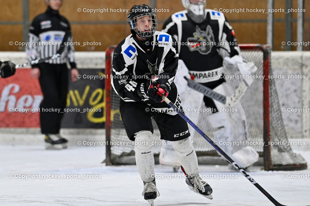 EC Tigers Paternion vs. Tarco Wölfe II | #46 Pirker Garcia Pablo Tarco Wölfe II, EC Tigers Paternion vs. Tarco Wölfe II, EC Tigers Paternion vs. Tarco Wölfe II am 19.12.2024 in Spittal an der Drau (Eissportzentrum Spittal), Austria, (Photo by Bernd Stefan)