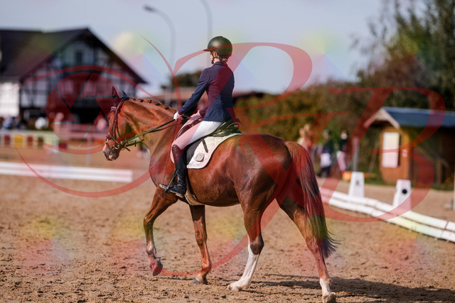 2026_10_03_Siefer-Hof_123656_Z81_34405581 | Professionelle Reitsport-, Turnier- und Eventfotografie von Robert Broda. Galerien mit ausgewählten und bearbeiteten Bildern direkt online ansehen und bestellen.
