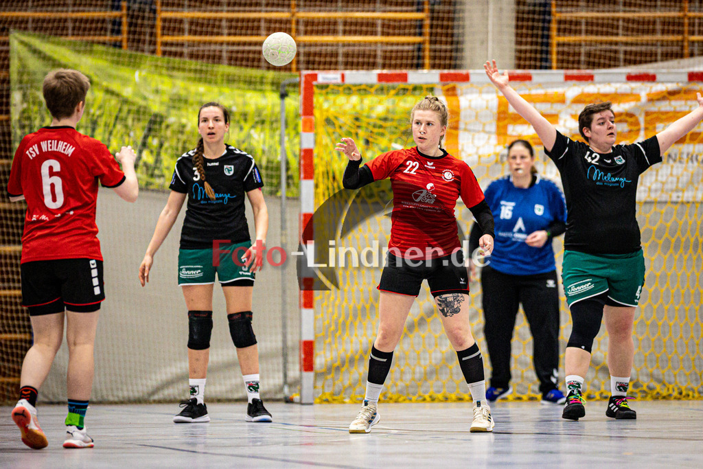 TSV Weilheim gegen TSV Murnau | Handball Bezirksoberliga Frauen Alpenvorland 2024/25, TSV Weilheim gegen TSV Murnau, 20250330,Vanessa NEGA (TSV Weilheim 22) in Aktion,2025-03-30 in Weilheim (Weilheim, Am Hardt), Vanessa NEGA (TSV Weilheim 22)Copyright: WolfgangxLindner www.foto-lindner.de