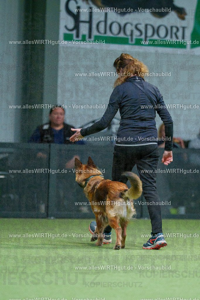 7R500927 | Professionelle Tierfotografie in Mönchengladbach von Daniel Wirth (allesWIRTHgut). Liebevolle & natürliche Bilder von Hunden & Katzen für unvergessliche Erinnerungen.