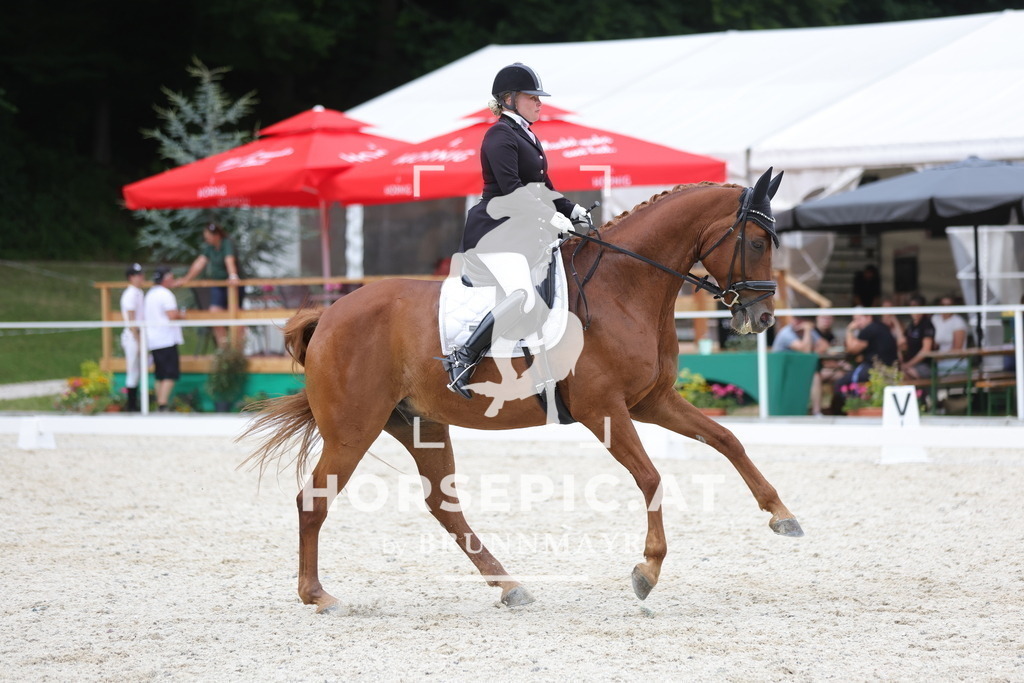 0P6A7115 | Willkommen bei Brunnmayr - Design & Fotografie – Ihrem Spezialisten für Reitturniere und Pferdeveranstaltungen in Oberösterreich, Salzburg und Bayern! Seit über 17 Jahren sind wir leidenschaftlich dabei.