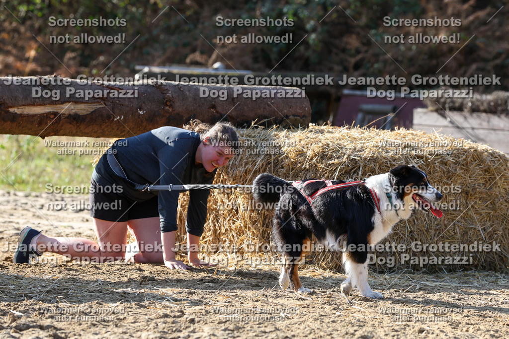 Dog Paparazzi - Strongdog 10-25-6008 | Dog Paparazzi Jeanette Grottendiek Fotografie & Videografie - Realisiert mit Pictrs.com