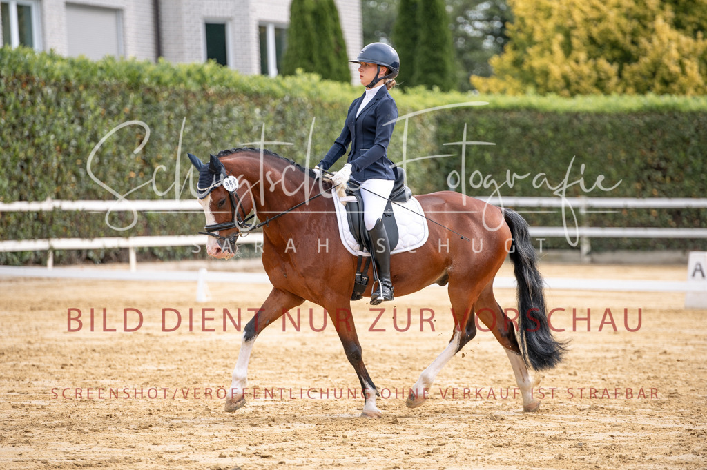 Schugtsche-Aluta25-40.DressurprfA_-279 | Schugtsche Fotografie - Realisiert mit Pictrs.com