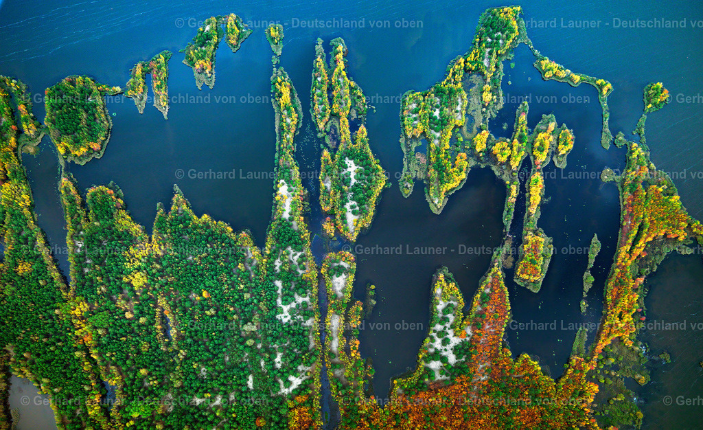 3069099 | herbstlich gefärbte Bäume auf einer Insel im Senftenberger See