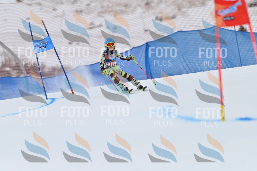 BGV_0885 | holidayphoto