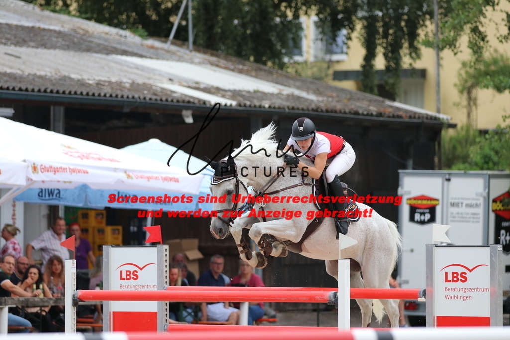 IMG_2834 | lmwpictures - Realisiert mit Pictrs.com