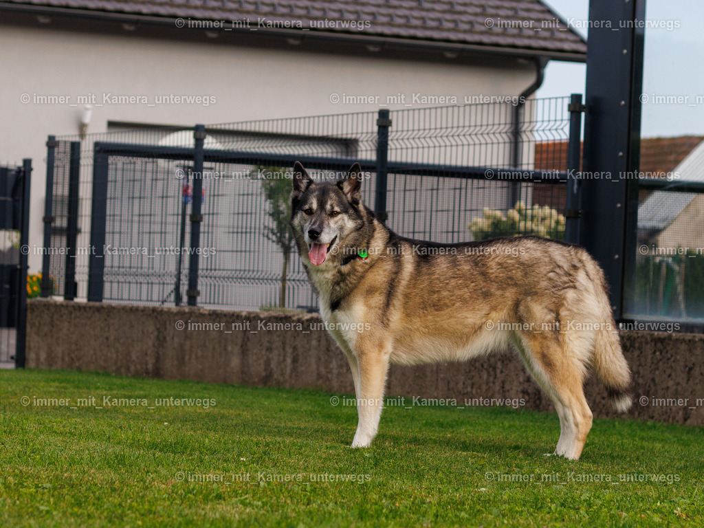 IMG_4251 | immer_mit_kamera_unterwegs