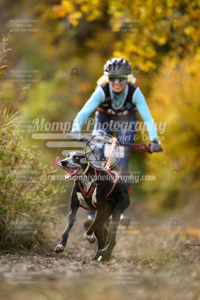 MompixPhotography_ICF_WC_2024_SA_Bike_-345 | PayLife