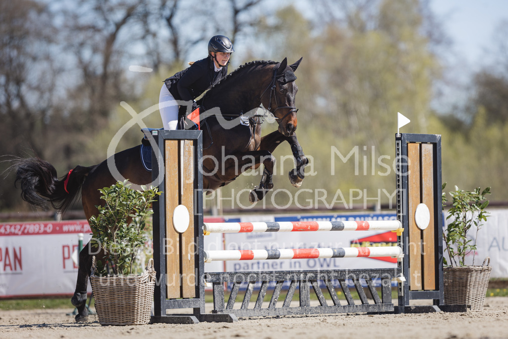 220416_3_A-Springen2-437 | Frühlingsfest der Pferde
Herford
16.April 2022
03/2 Sprigprüfung mit steigenden Anforderungen Kl. A** geschlossen 44-481 RLP