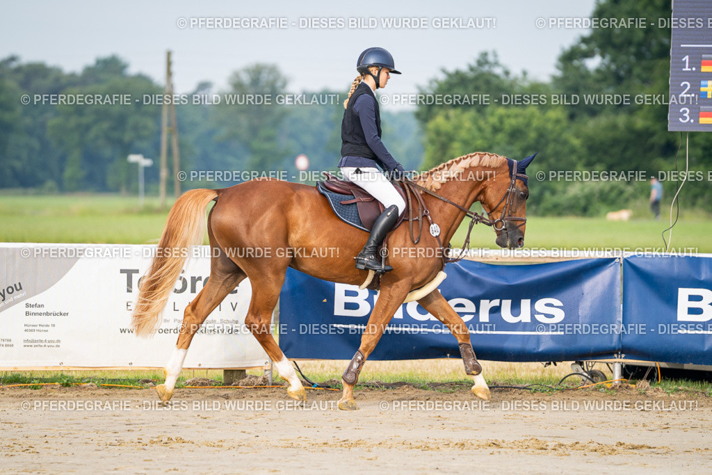 DSC07881 | Pferdegrafie