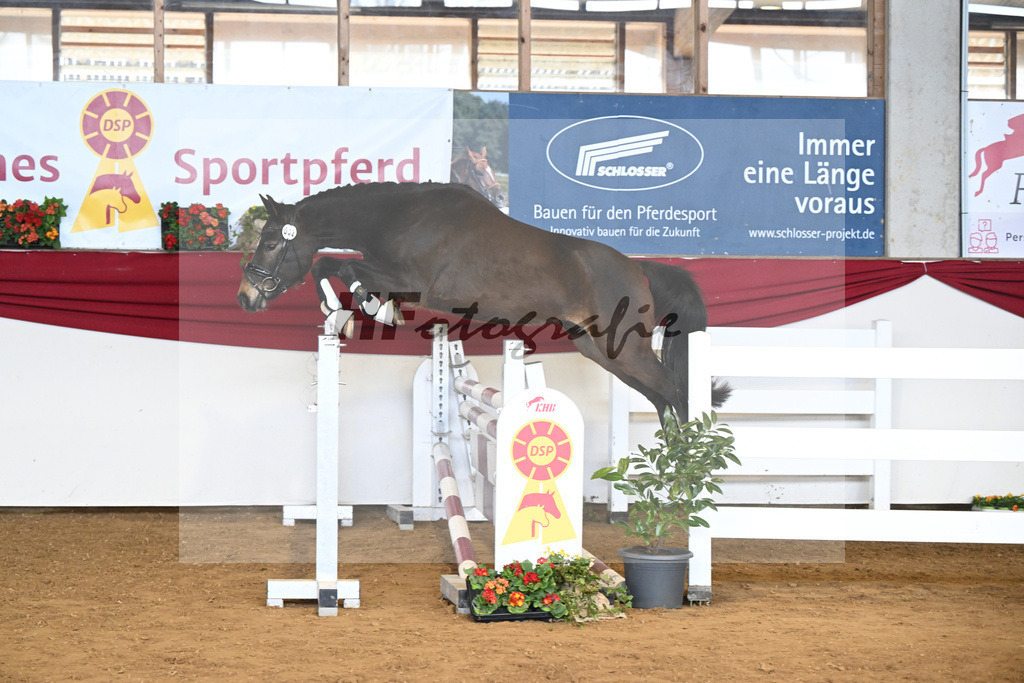 Kat-Nr. 32 Gluecksstuermer v. Gruendleinshofs Gipfelstuermer_Kaus_16250522 | hf-fotografie - Realisiert mit Pictrs.com