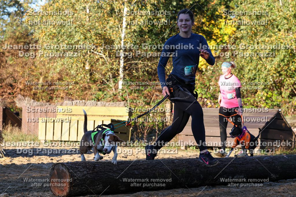 Dog Paparazzi - Strongdog 10-25-871 | Dog Paparazzi Jeanette Grottendiek Fotografie & Videografie - Realisiert mit Pictrs.com