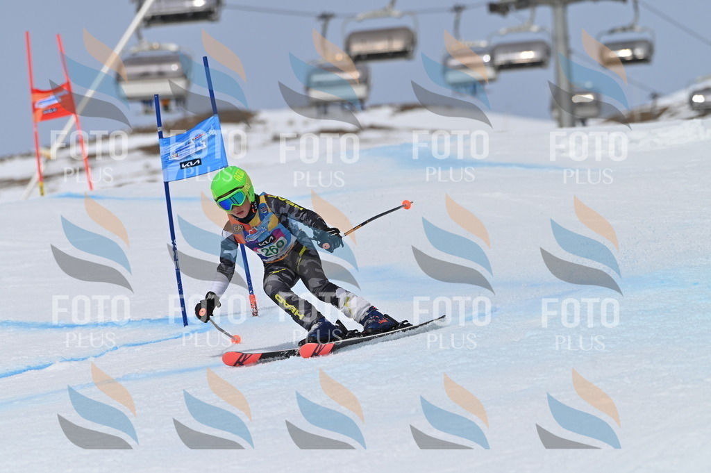 BGV_5164 | holidayphoto