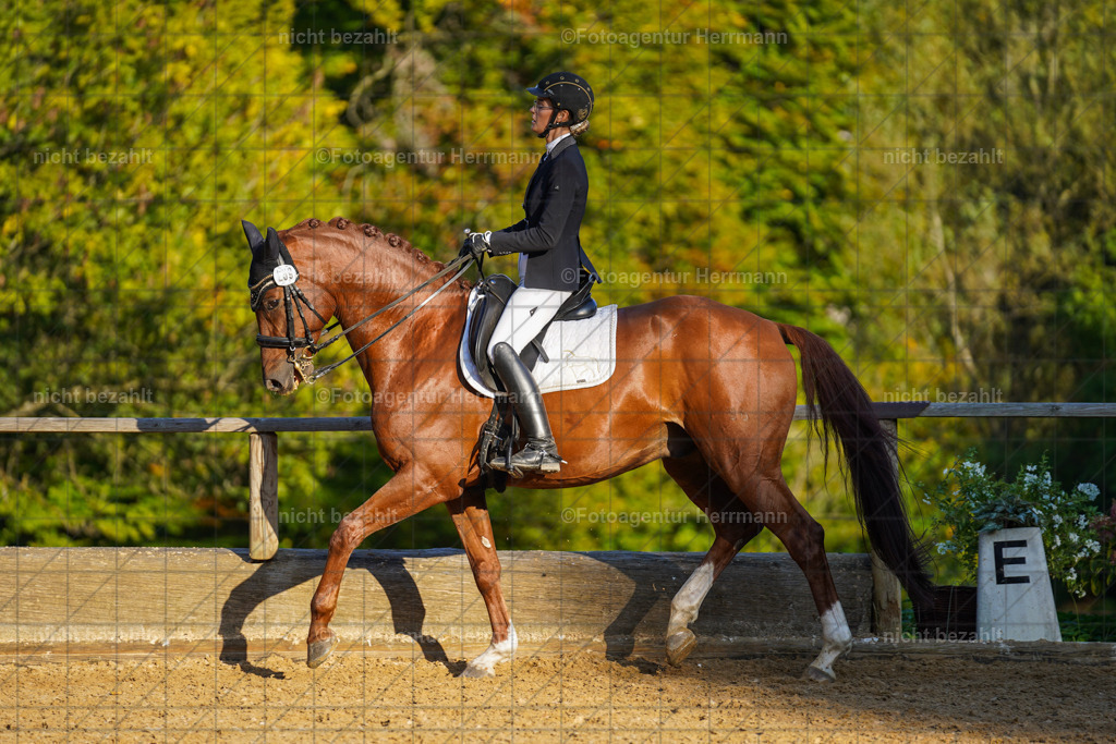 20221007-FAH00321 | Diessen am Ammersee, 2022, Dressur- und Springturnier, Reitsportbilder, Turnierfotografen Bayern, Pferdefotografen, Fotoagentur Herrmann, Turnierbilder
