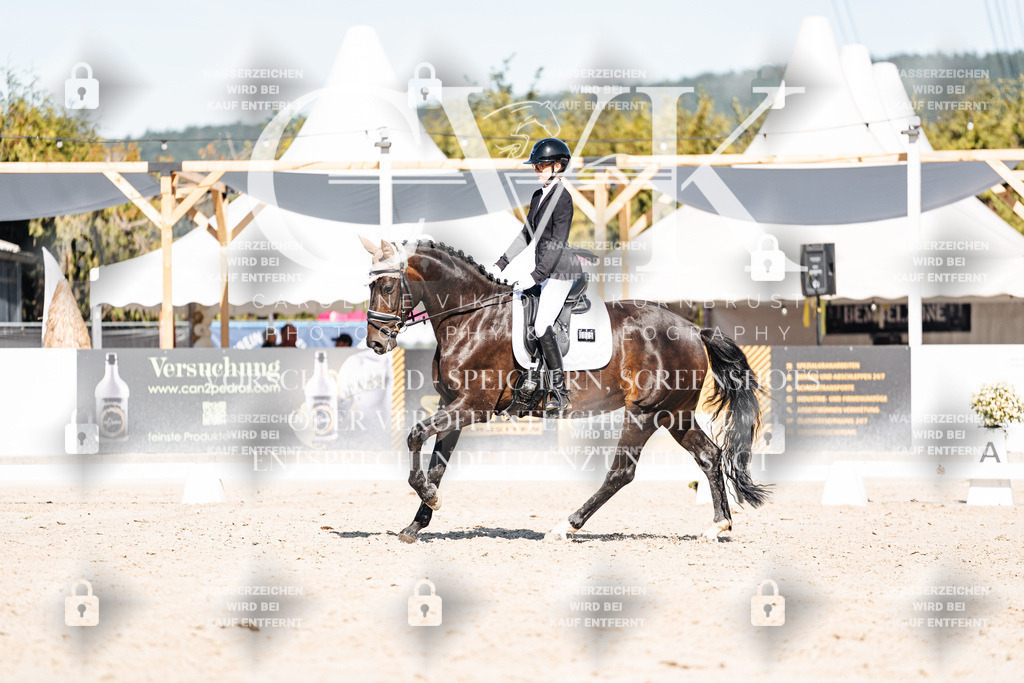 CK908447 | Turnierfotografie Pferdefotografie Trier Rheinland-Pfalz Pferdesport Reitsport Tierfotografie Sportfotografie Pferdevideo Pferdevideografie Equestrianvideography equestrianphotography  - Realisiert mit Pictrs.com