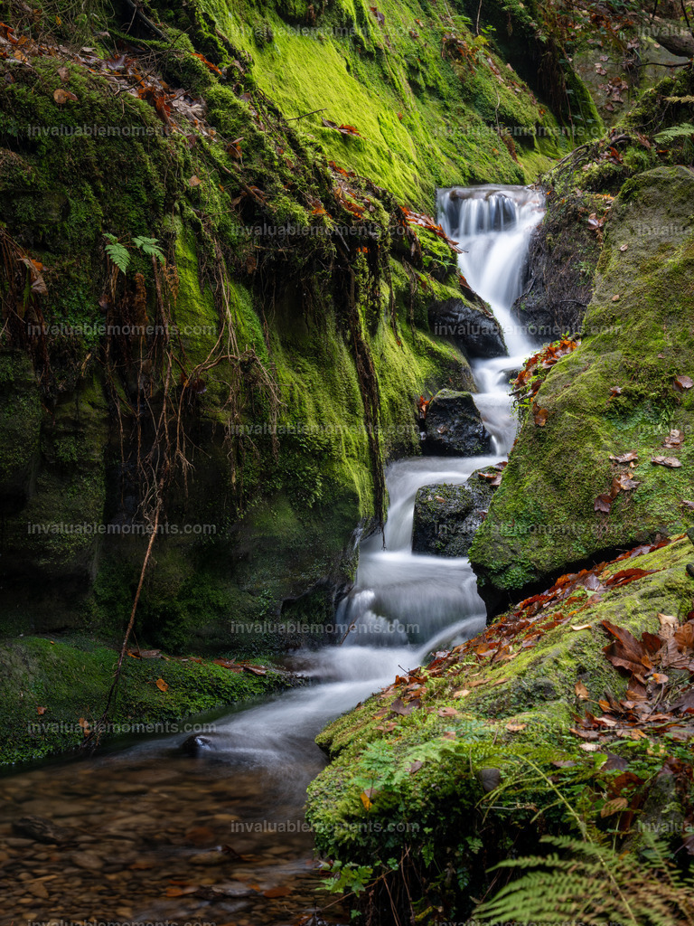 Bachlaufkaskade | invaluablemoments.com - Realisiert mit Pictrs.com