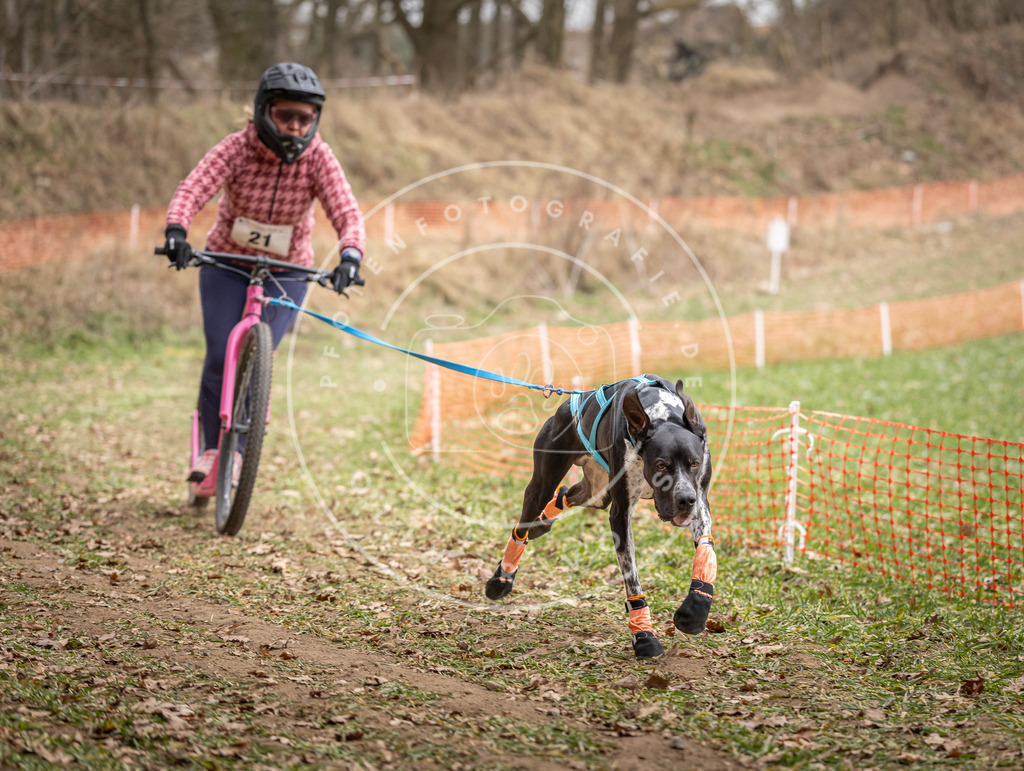 Pfotenfotografie_DV3A7218 | Hundefotografie, Tierfotograf, Pfotenfotografie, Fotoshooting Hund, Hunde Portrait, Hundesport, Hundeportraits, Heideshooting, Hunde, Sportfotograf, Hundefotograf, Turnierhundsport, THS,  - Realisiert mit Pictrs.com