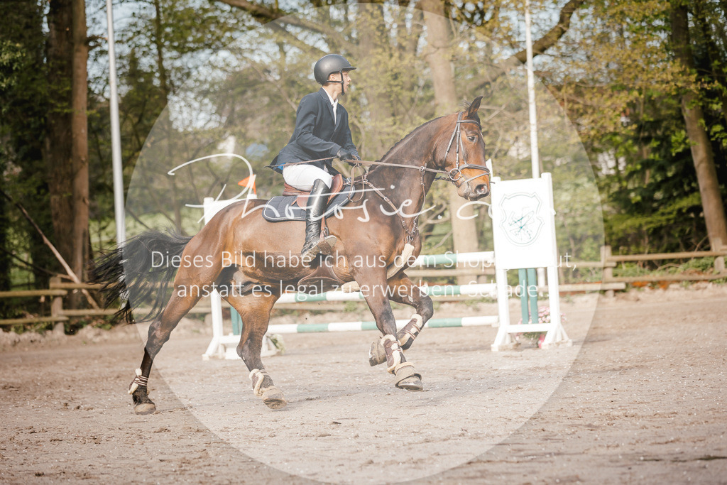 3I6A3394 | Stimmungsvolle Portraits und Reitsportfotografie im Ruhrgebiet und im Münsterland.

Pferdefotografie, Hundefotografie, Tierfotografie, Reportagen, Portraits von Tier und Mensch, Turnierfotografie in Bochum, Recklinghausen, Marl, Haltern am See, Dülmen.. - Realisiert mit Pictrs.com