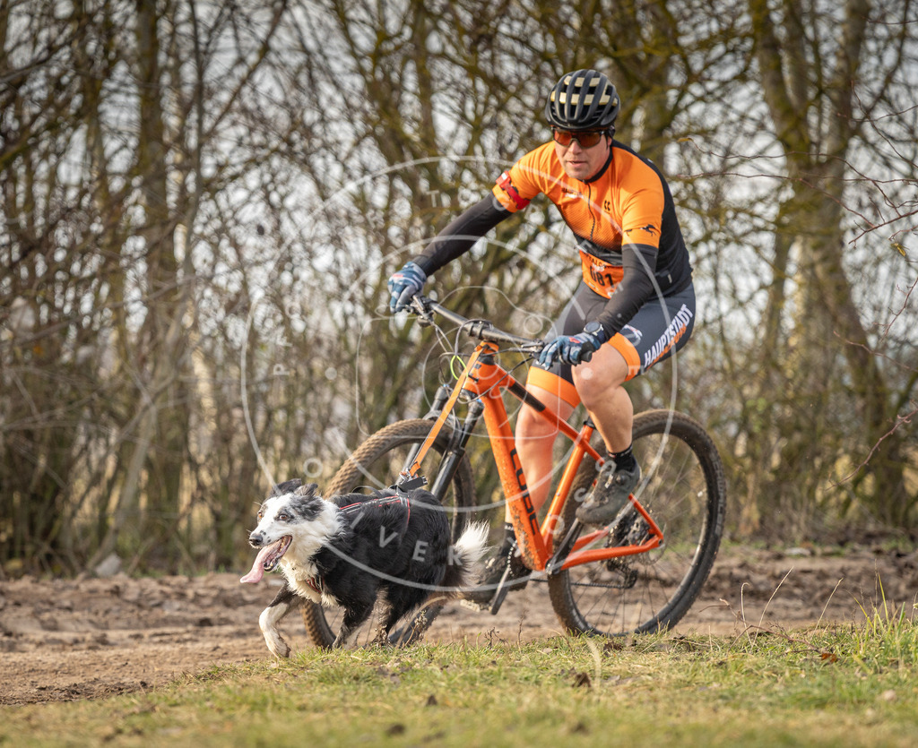 Pfotenfotografie_DV3A8266 | Hundefotografie, Tierfotograf, Pfotenfotografie, Fotoshooting Hund, Hunde Portrait, Hundesport, Hundeportraits, Heideshooting, Hunde, Sportfotograf, Hundefotograf, Turnierhundsport, THS,  - Realisiert mit Pictrs.com