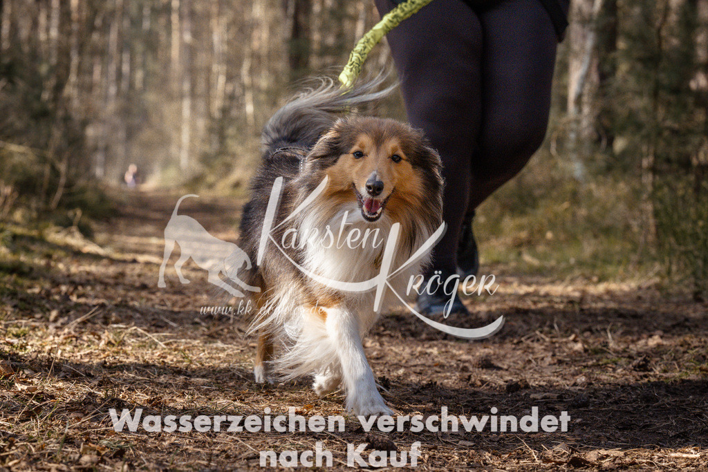 1334_ZZ94739 | kk-dogfotos