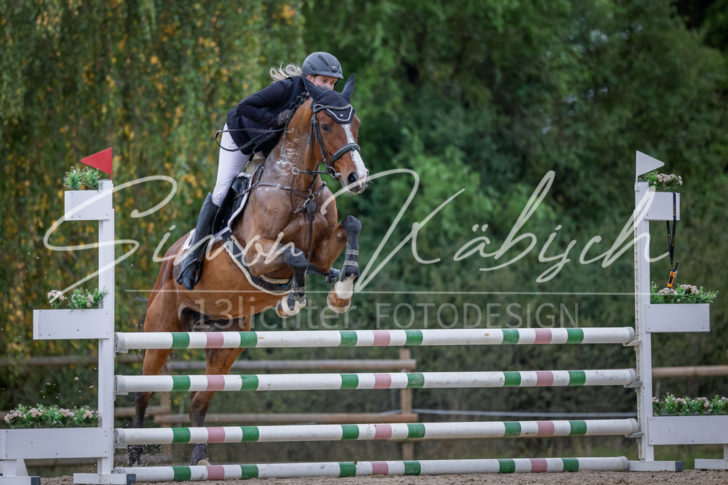 20251012-_3LI3894 | Tierfotografie Pferde, Hunde, Katzen, Haustiere.
Turnierfotografie Reitturniere, Reiten, Springreiten, Dressur in Hanau, dem Main-Kinzig-Kreis und dem Rhein-Main- Gebiet um Frankfurt