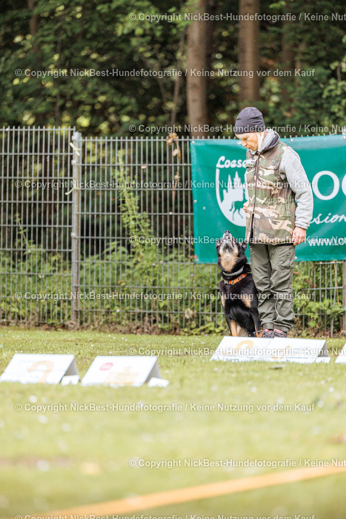 RO-Blumenthal-2026-Nickbest-Hundefotografie-3989 | Dein Hund! Dein Moment! Deine Erinnerungen! Hundefotografie in Bremen Blumenthal. Ich fange die besonderen Momente deines Vierbeiners ein – ob Indoor mit Blitzanlage oder in der freien Natur. Sicher dir dein Moment und dein Termin für eure Erinnerungen.