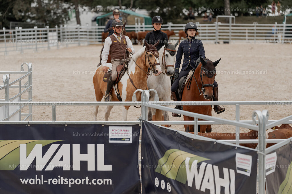 WE__Stoib_Rinder_PI2025_3150 | Pferd International München 2025